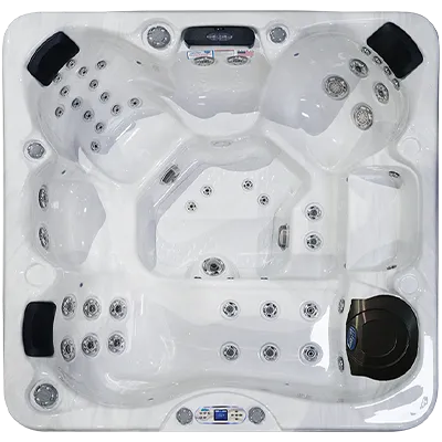 Avalon EC-849L hot tubs for sale in Logan